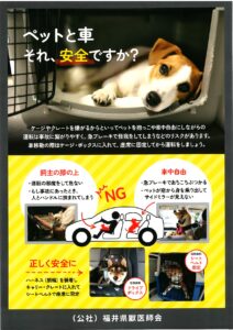 【ペットさんとのお出かけ、安全に楽しめていますか？🐕🐈】