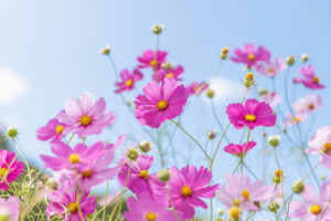 季節の変わり目、体調は大丈夫ですか？