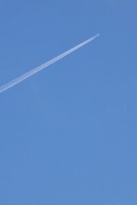 【前編】まだ間に合う!夏本番前に見直したいペットの暑さ対策