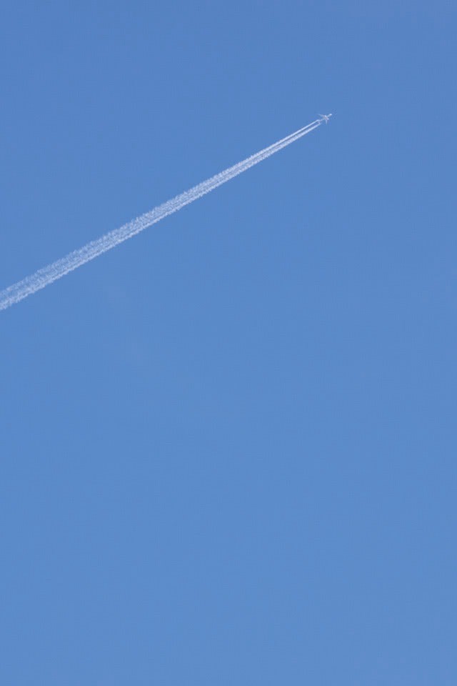 まだ間に合う！夏本番前に見直したいペットの暑さ対策