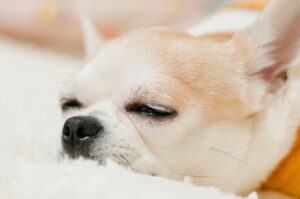 寒さ対策で冬を乗り切りましょう！