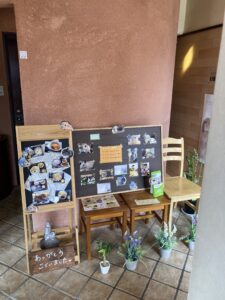 うさんぽ＆うさカフェ【アスピカ提携店のご紹介①】