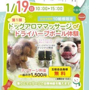 【1月度ハッピーわんわんイベント】お楽しみ抽選くじも引けます!