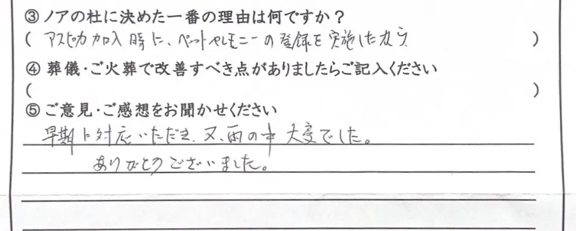 勝山市のご家族様「ありがとうございました」（猫）