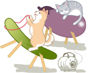 お盆に想う、ペットさんへの「ありがとう」🐾
