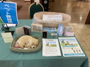 冠婚葬祭+ペット葬 相談会 12月度のご案内