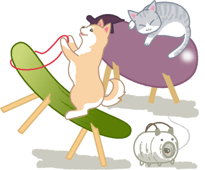 お盆に想う、ペットさんへの「ありがとう」🐾