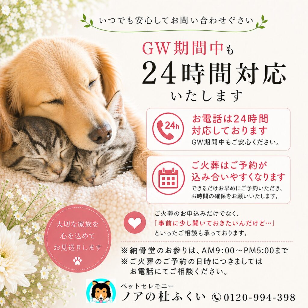 ゴールデンウィークの営業について🐾